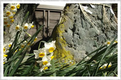 �Ԃ����ς��Ȃ�ł�